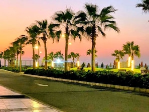 Una vista al atardecer con palmeras y farolas a lo largo de una carretera.