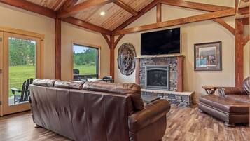 Smart TV, fireplace, books