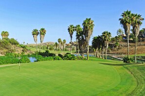 A golf course with a water body, palm trees, and a bridge.