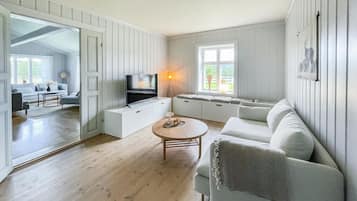 Smart-TV, Kamin