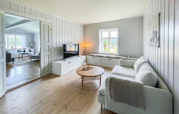 Smart-TV, Kamin