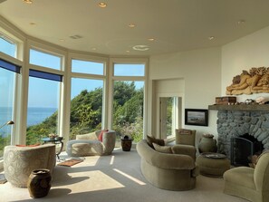 Smart TV, fireplace, books