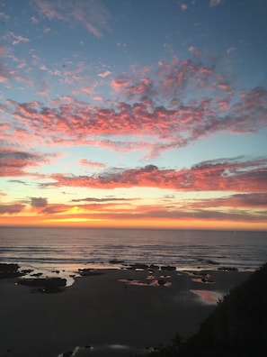 On the beach - Where Views, Stars & Wildlife Meet: Your Secluded Cliffside Escape Awaits! (Yachats)
