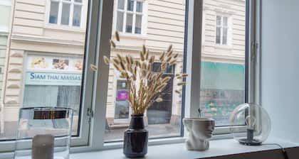 Central and Modern apartment in Oslo