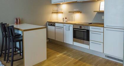 Central and Modern apartment in Oslo
