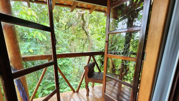 Una terraza de madera con vistas a abundante vegetación, una silla de madera y una alfombra pequeña.