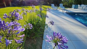 Zona junto a la piscina con un suelo de baldosas, una piscina y flores moradas en primer plano.