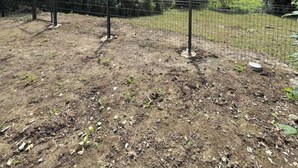 Un espace extérieur clos, avec un sol en terre, entouré d’arbres et de végétation.