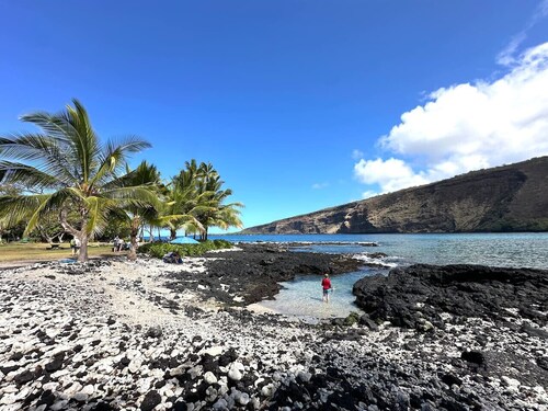 2 Mins to Private Beach, Dolphin Whale Watching, Hi6