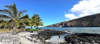 2 Mins to Private Beach, Dolphin Whale Watching, Hi6