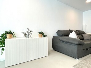 Fernseher, Videothek