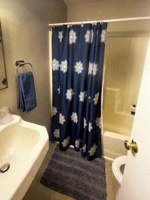Hair dryer, towels, soap, shampoo - Brilliance of Bradshaw! 10 min from Downtown Knoxville! (Knoxville)