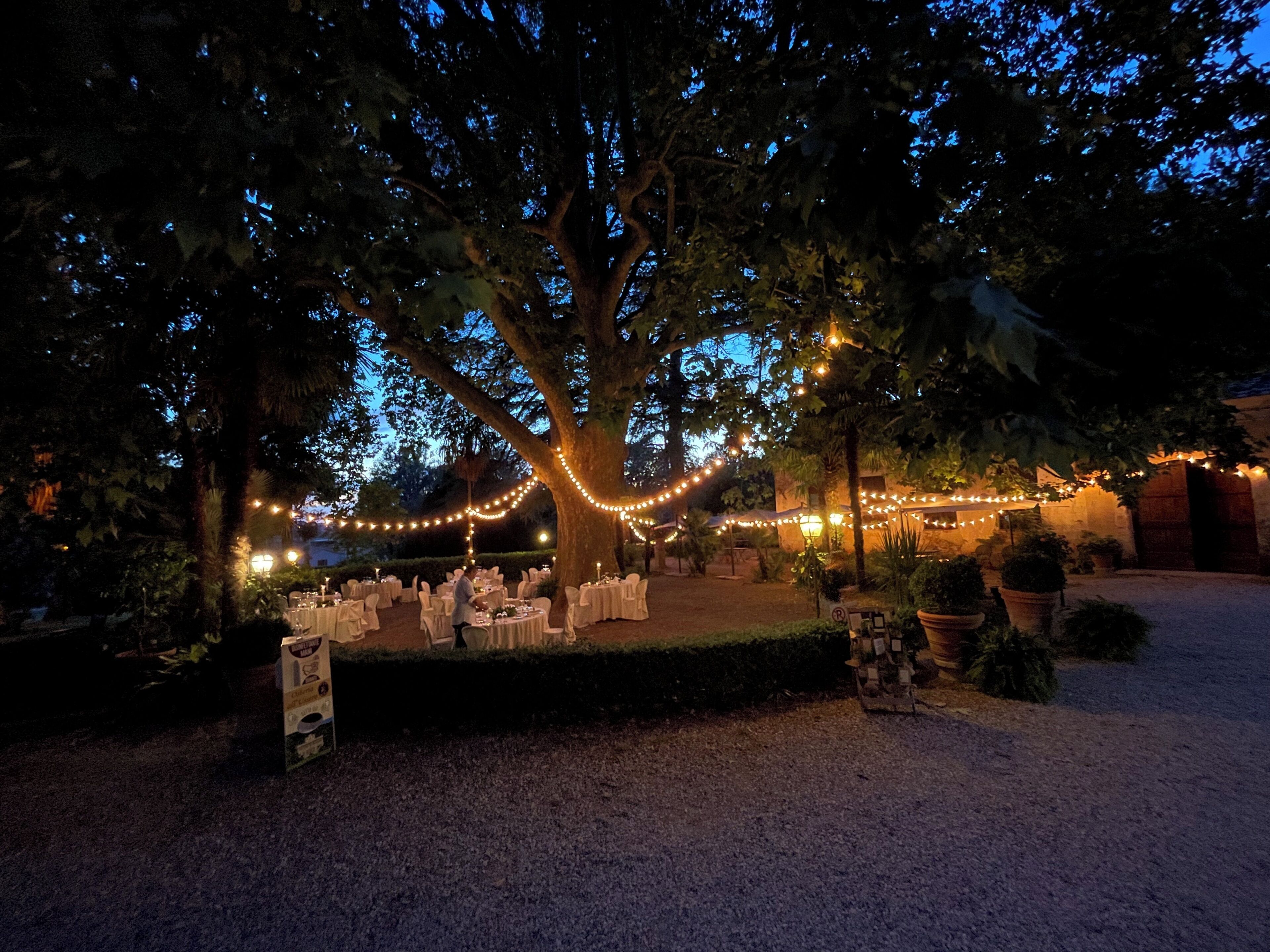 An outdoor event space with tables set up under a large tree, decorated with string lights.