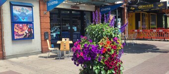 A Victorian laundry now a little (25'x8') dog-friendly let 5mins to town & beach