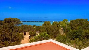 Une vue d’un paysage côtier, avec une végétation luxuriante et un ciel bleu dégagé.