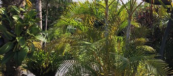 LA KAZ Bleue DE Ginette