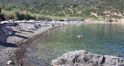 Lovingly furnished vacation apartment with large pool in Nisporto