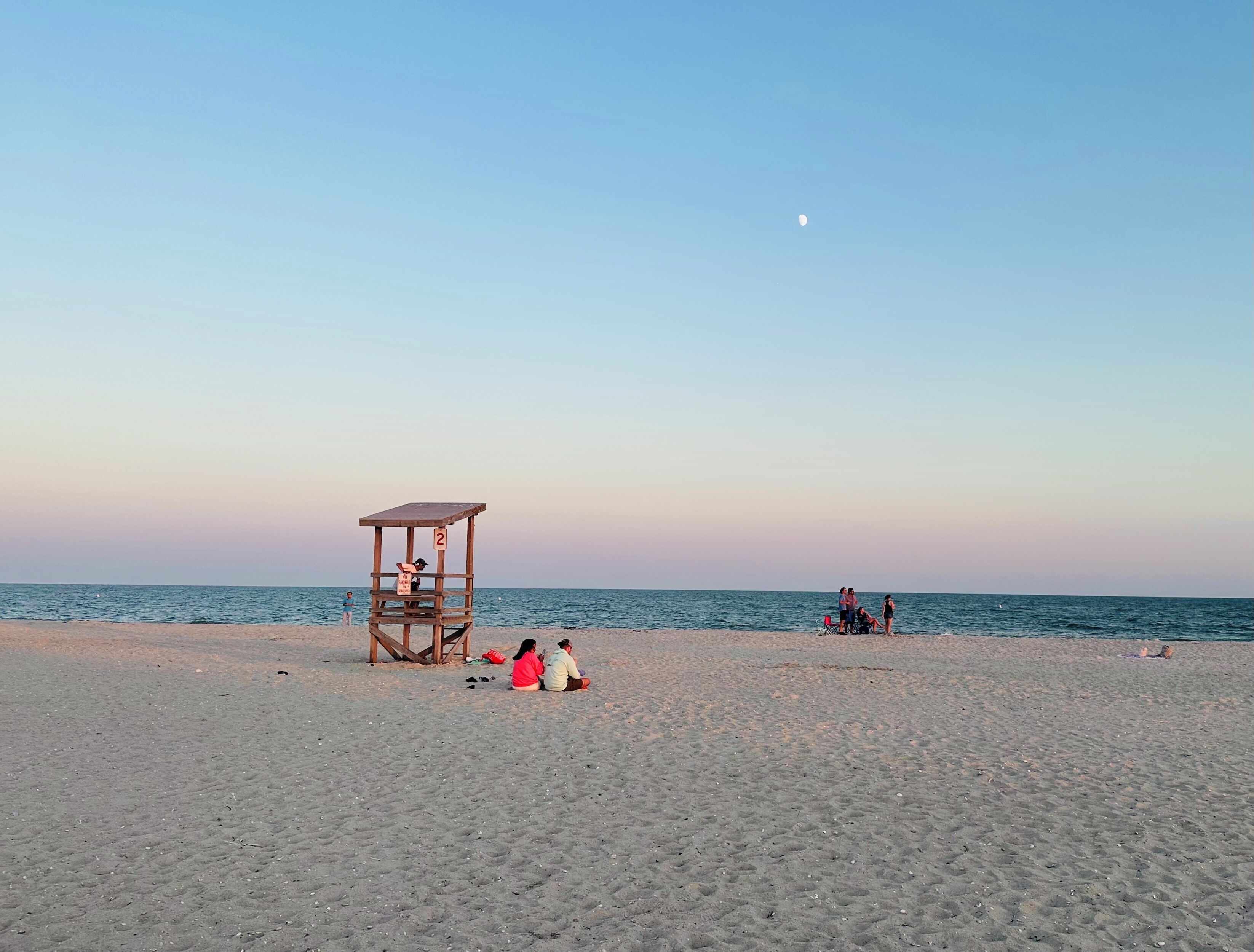 Lettini da mare