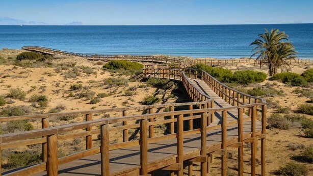 Une promenade en bois qui mène à une plage, avec un palmier et une vue dégagée sur l’océan.