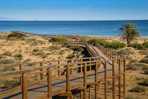 Een houten looppad dat naar een strand leidt, met een palmboom en een helder uitzicht op de oceaan.