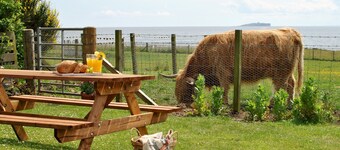 Clover Cottage, countryside retreat with sea views