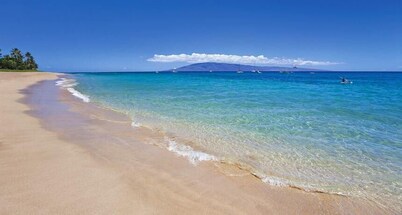 Wonderful South Maui Beach Condos 