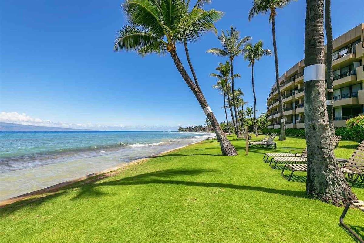 A beachfront hotel with palm trees, a grassy lawn, and a view of the ocean.