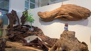 A room with a large wooden sculpture, a small Buddha statue, and a potted plant.