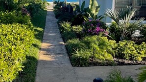 Uma trilha leva a uma casa com telhado branco e vista para o oceano.