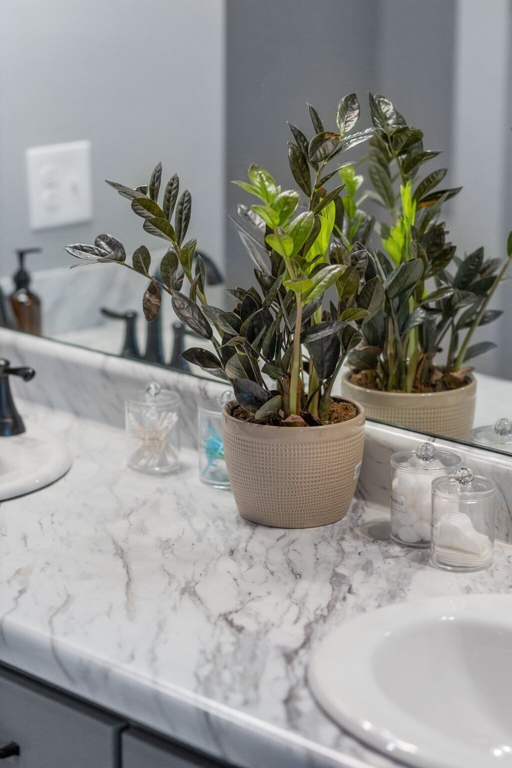 Un baño con encimera de mármol, dos plantas en macetas, un lavamanos y un espejo.