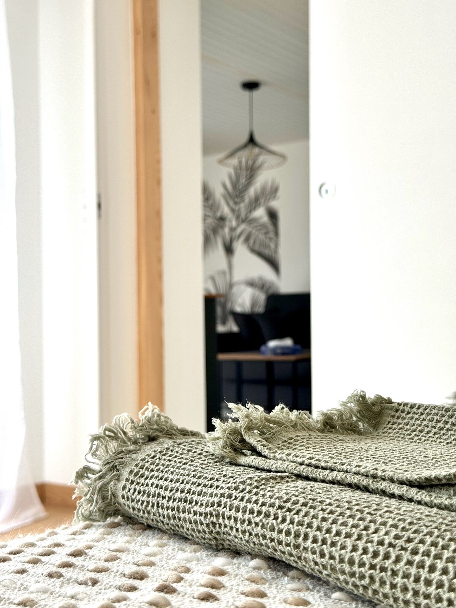 A room with a woven blanket on a textured rug, a door leading to another room, and a hanging plant.