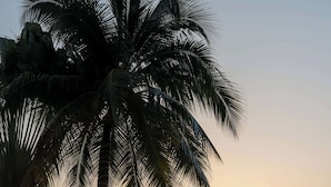 泳池