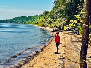 Una playa con arena y una persona de pie cerca de un árbol.