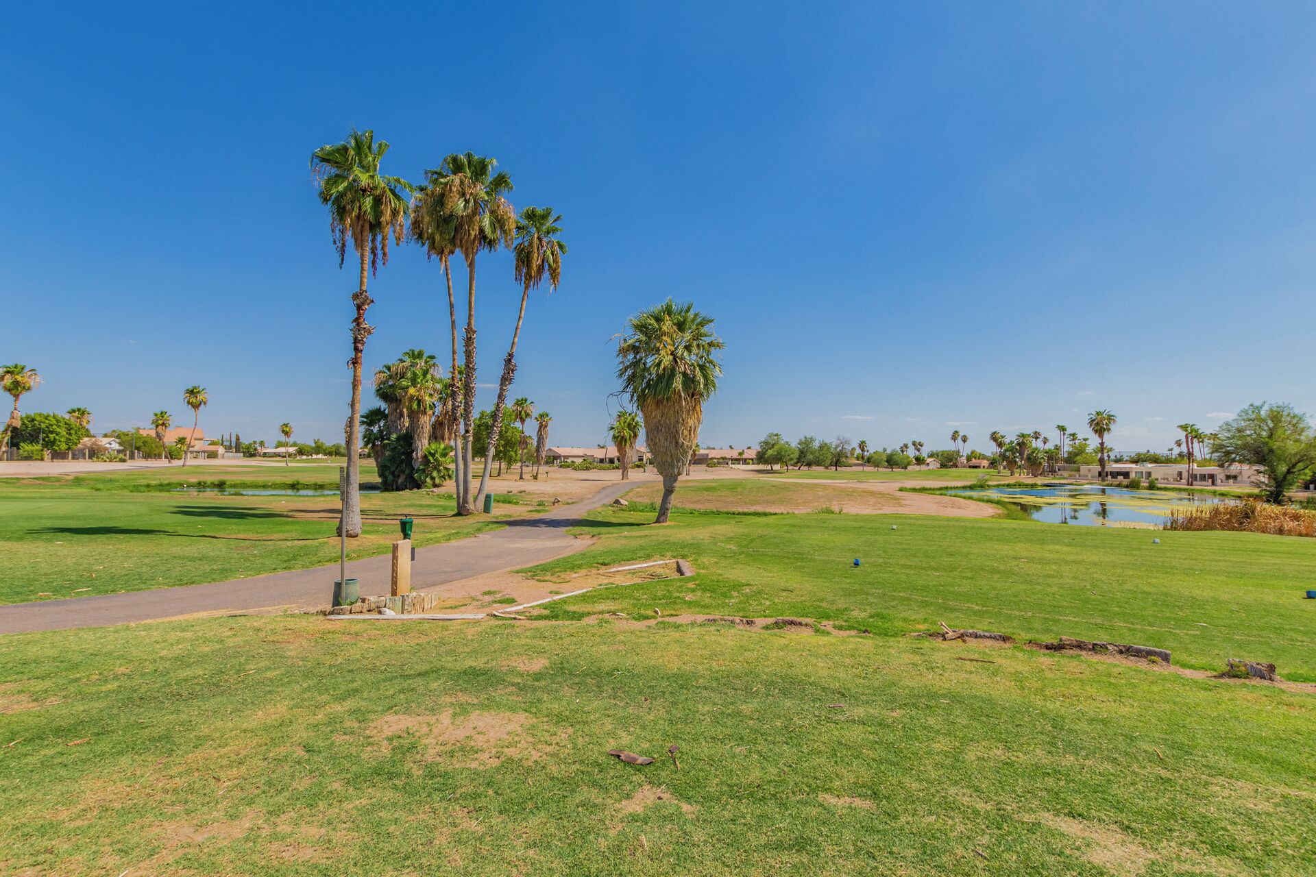 A golf course with a clear sky, palm trees, and a pond.