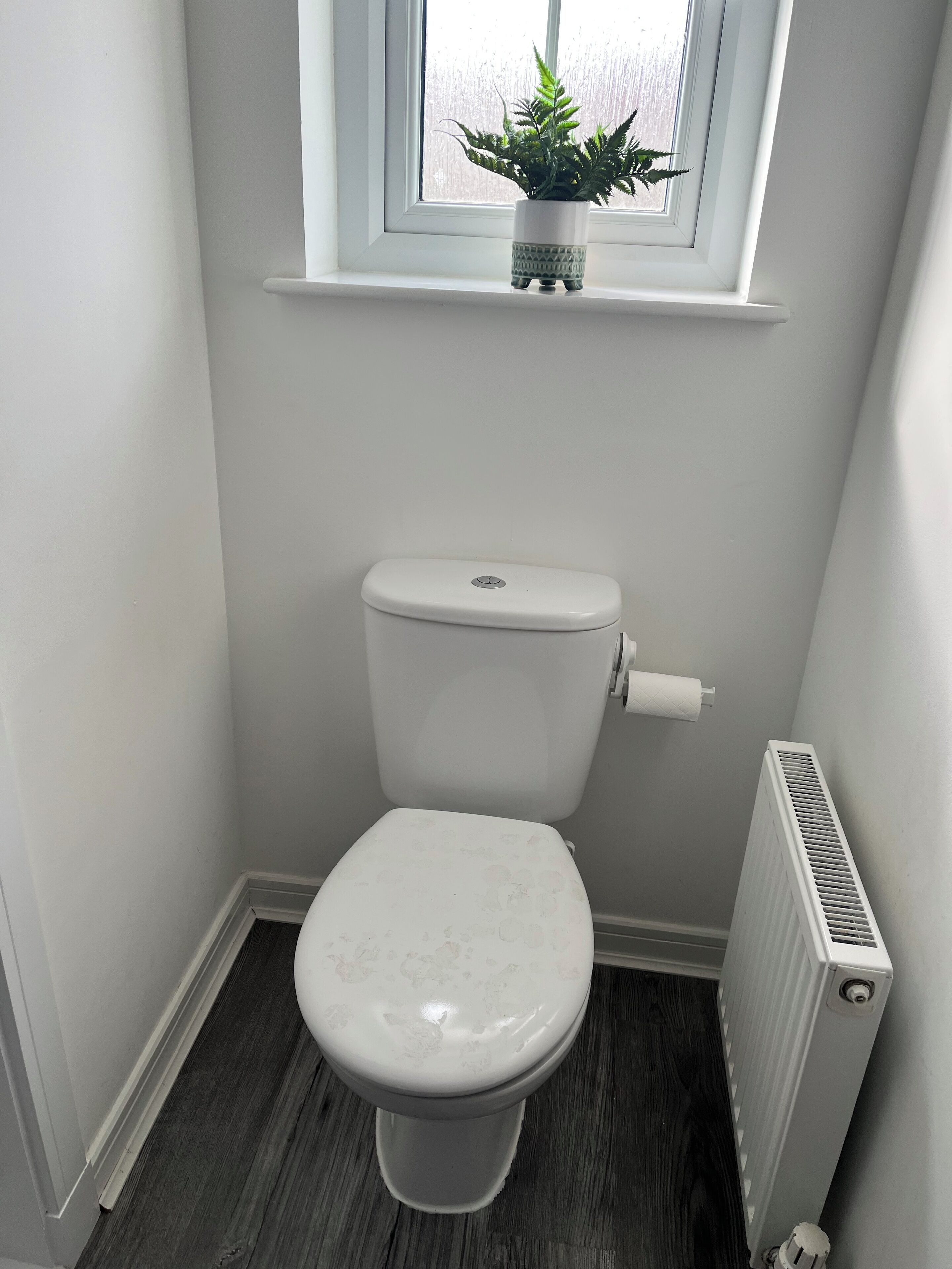 Shower, hair dryer, towels, toilet paper