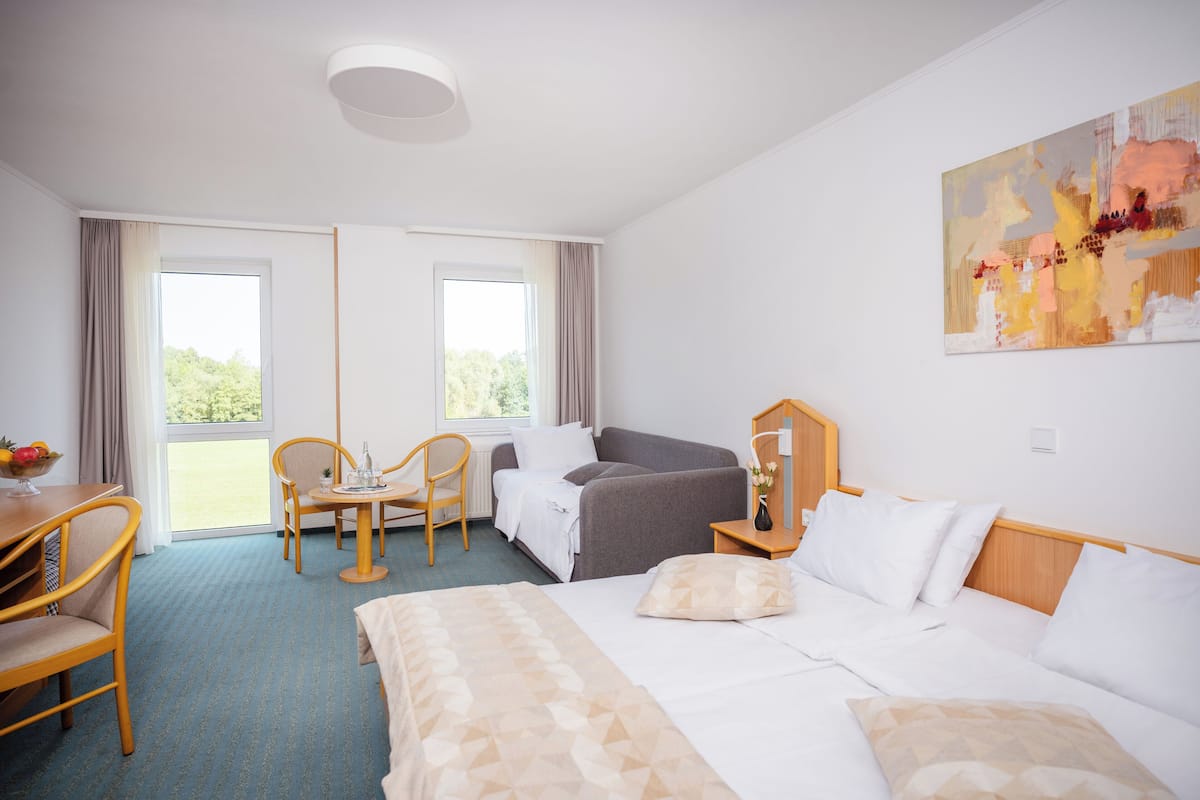 A hotel room with a bed, a desk, a chair, a sofa, and a window.