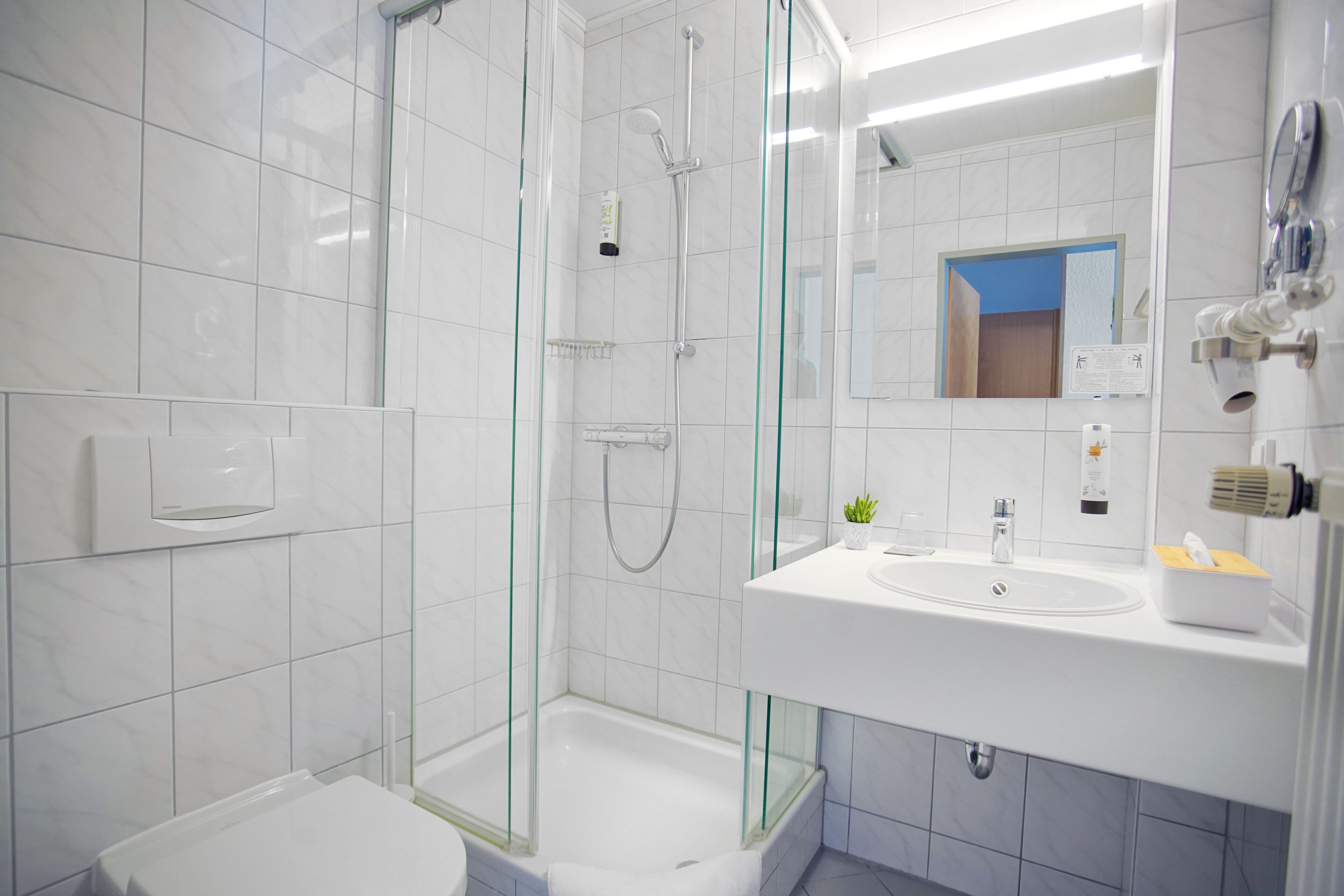 A modern bathroom with a glass-enclosed shower, a white sink, and a mirror above the sink.