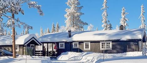 Udendørsområde