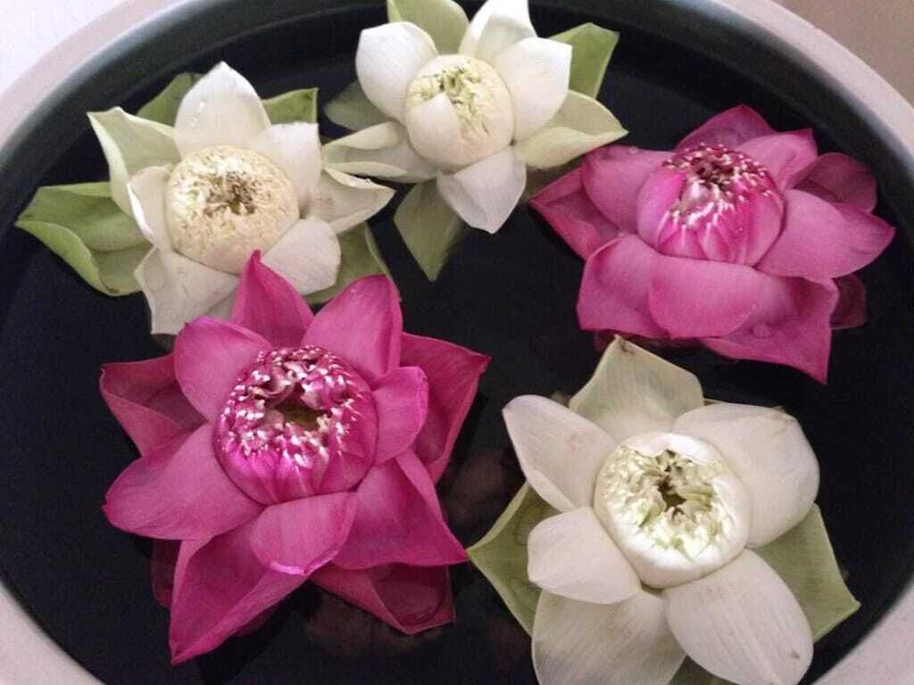 Foto - Maison Arnica Hotel & Restaurant