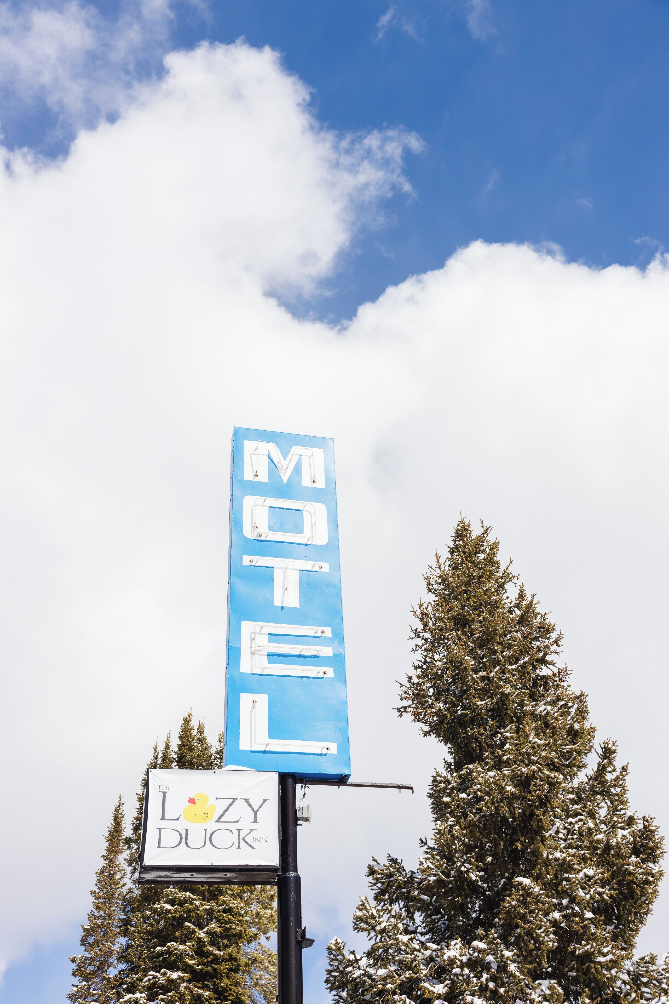 Foto - Lazy Duck Inn