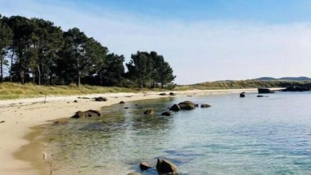 A beach with clear water, rocks, and a forested area in the background.