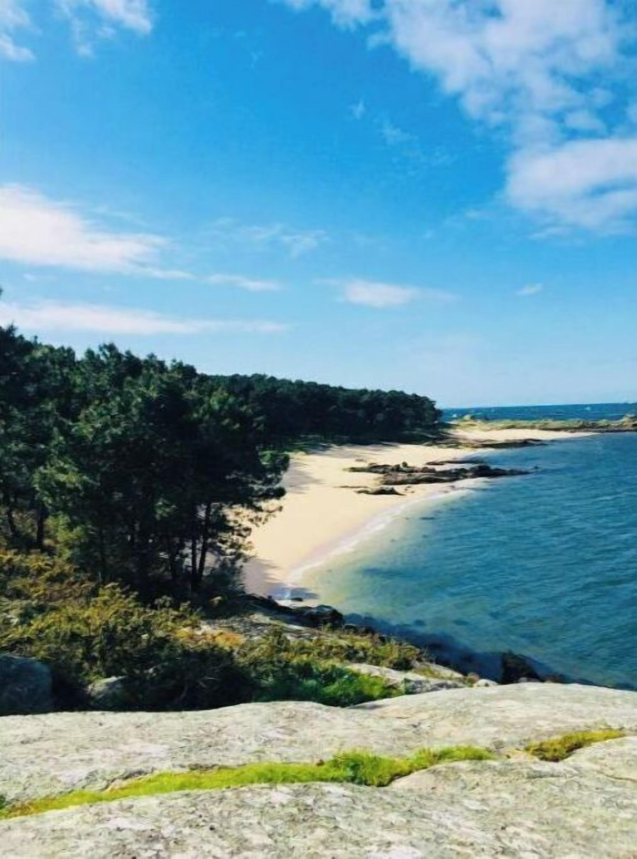 A coastal landscape with a sandy beach, clear blue water, and a forested area.