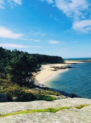 Playa