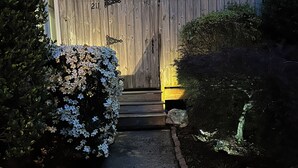 外観の詳細