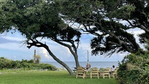 A grassy area with a wooden bench and a table under a large tree, overlooking a body of water.