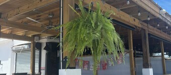 #1 Asia Italy Sea View Apts