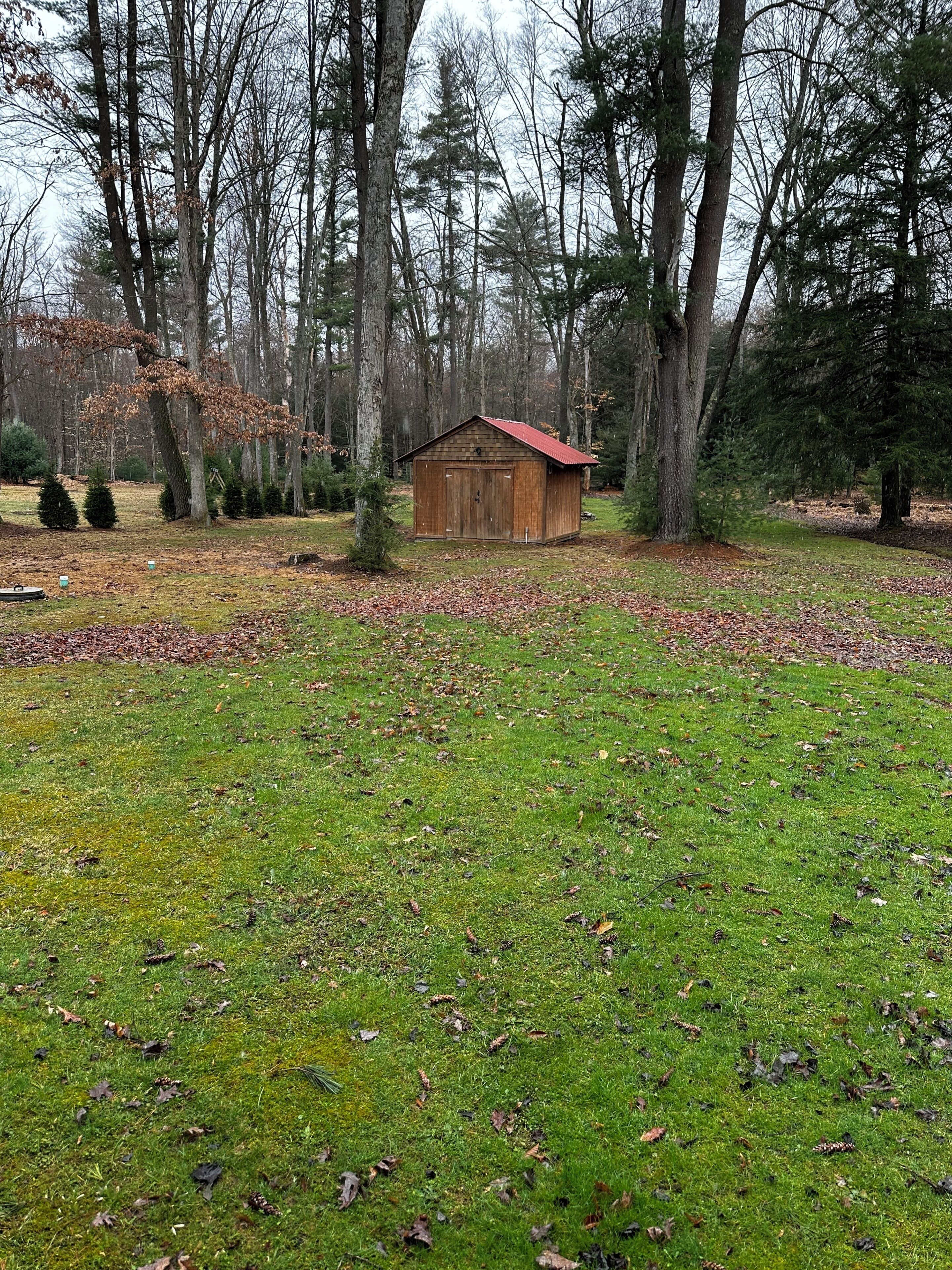 Una cabaña de madera en un área boscosa, con un primer plano de césped y suelo cubierto de hojas.