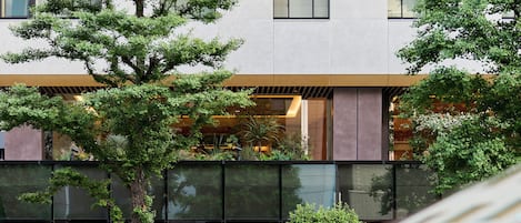 Un edificio moderno con fachada de vidrio, ventanas amplias y un árbol en primer plano.