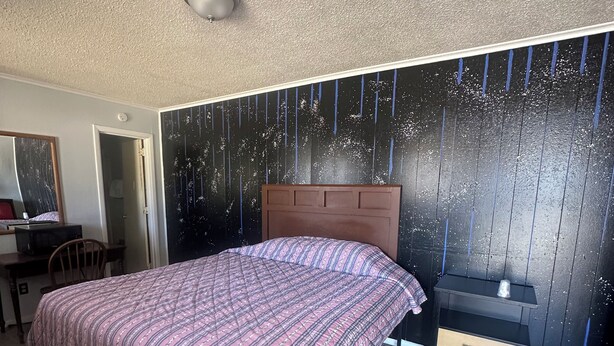 A bedroom with a bed, a nightstand, a dresser, a desk, and a chair. - Travel Inn (Montgomery)