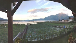 A view of a rice paddy field with mountains in the background. - Villa Kedisan Lake View Kintamani (Kintamani)